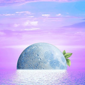 Photo of Craft Blueberry