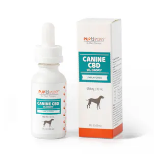 Photo of Canine CBD Oil Drops 480 mg Unflavored BS