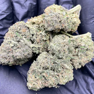 Photo of Diesel Fruit
