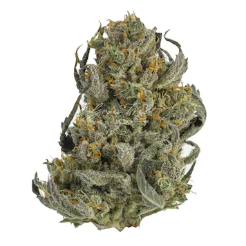 Photo of Psychedelic Untrimmed | Silver