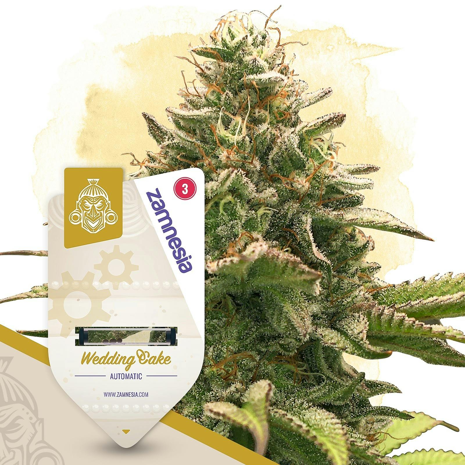 Zamnesia: Wedding Cake Automatic by Zamnesia Seeds | Leafly