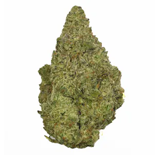 Photo of Amnesia OG