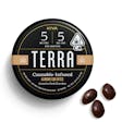 Product image for 5mg : 5mg CBD Terra 'Almond' Dark Chocolate Bites 100mg THC : 100mg CBD total