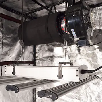 Photo of Hydrobuilder Covert 4' x 4' 250 Watt LED-X Grow Tent Kit