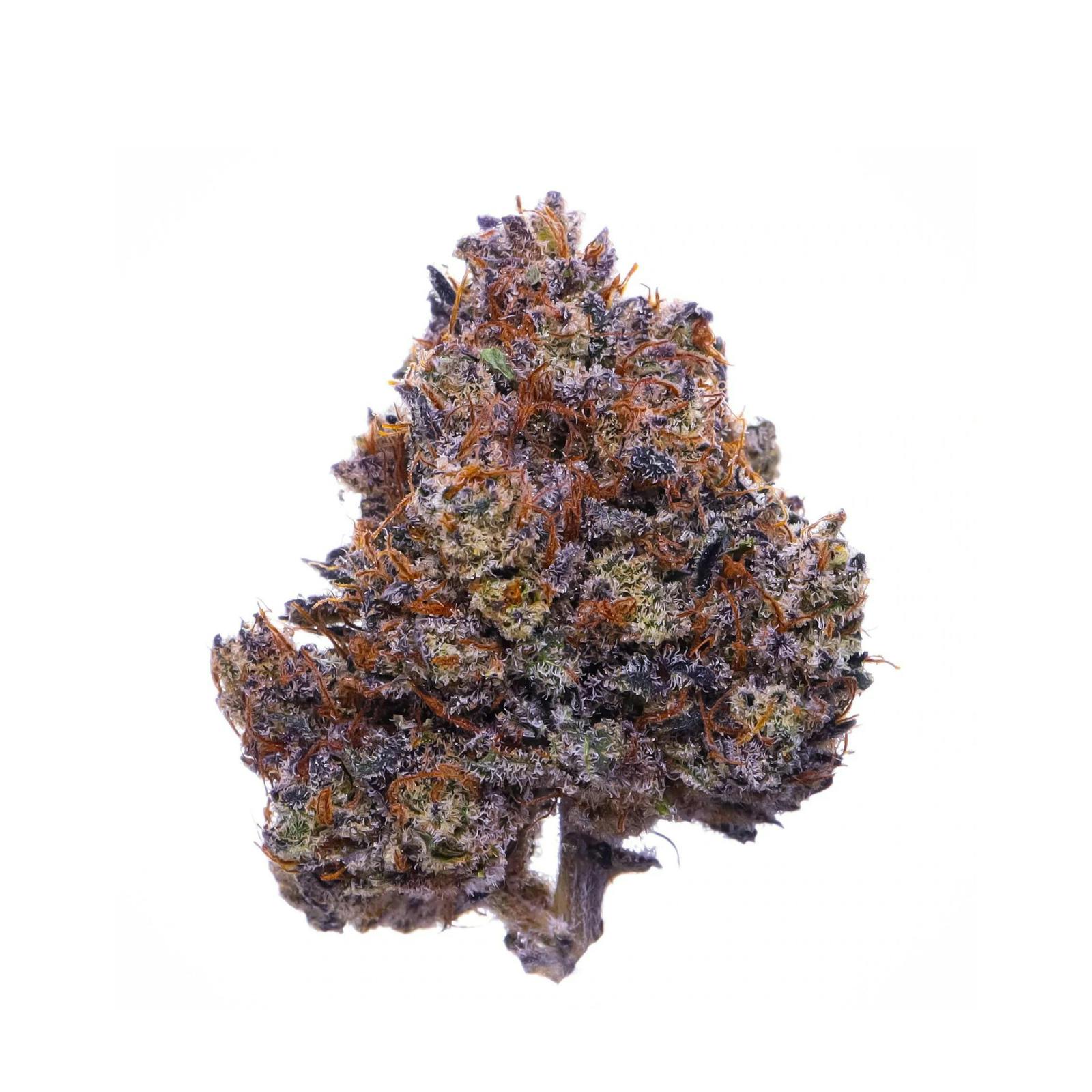 Simply Crafted Free Shipping Save 25 With Code Leafly Purple Haze Feminized Cannabis Seeds 0713