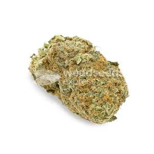 Photo of Power Kush Feminized Seeds