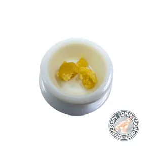 Photo of Ghost Dreams | Budder