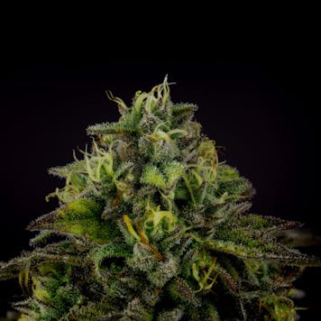 Photo of Ice Qwest a.k.a Ice Cream Cake