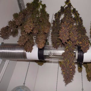 Photo of Crystal Meth