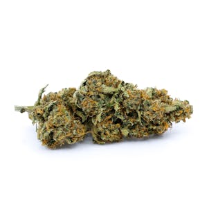 Photo of Shark Shock CBD