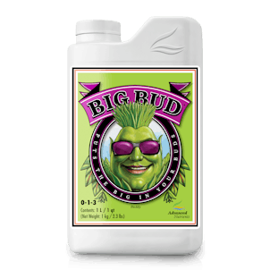 Photo of Big Bud®