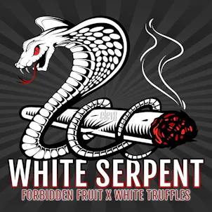 Photo of White Serpent