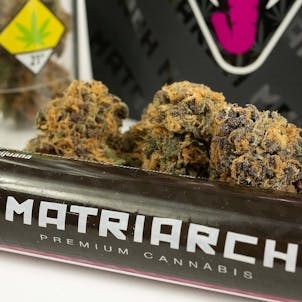 Photo of Forbidden Fruit