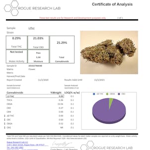 Photo of Lifter CBD Flower (21.03% CBD)