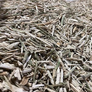 Photo of USDA Certified Organic Hemp Hurd Fiber Straws Sticks