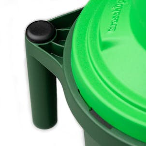 Photo of The Grasshopper