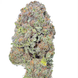 Photo of Blueberry Muffins #4