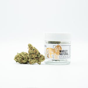 Photo of Marley Studio: Supra Sour Diesel