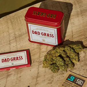Photo of Dad Grass CBD Hemp Flower Quarter Ounce