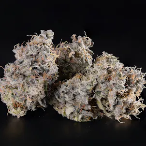 Photo of Why u Gelly- Hybrid