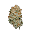 Product image for Angry Ginger | 3.5g