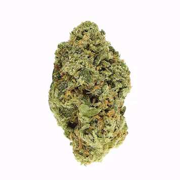 Photo of Cheese (fem) seeds