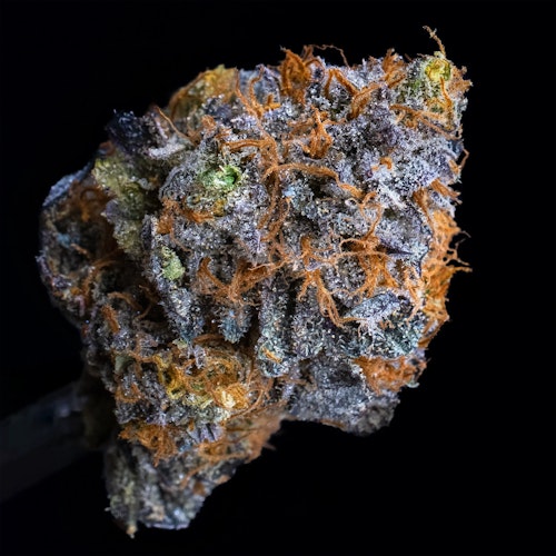 Upstate Elevator Operators 1g Apples and Bananas Living Soil