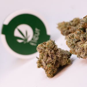 Photo of GSC