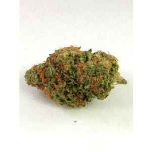 Photo of Killer Grape