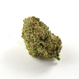 Photo of Violet Delight