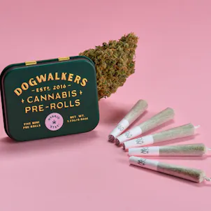 Photo of Grape Stomper OG Mini Dog Stay Pre-Rolls 1.75g 5-pack