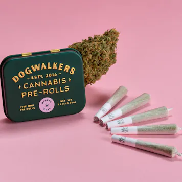 Photo of Grape Stomper OG Mini Dog Stay Pre-Rolls 1.75g 5-pack