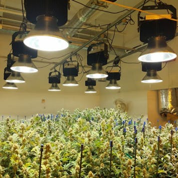 Photo of Helios 600W