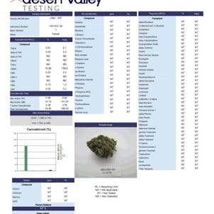 Photo of Indoor Lifter Premium CBD Hemp Flower