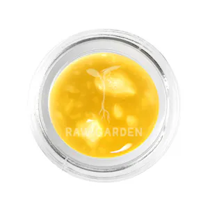 Photo of Motor Punch Live Sauce 1g