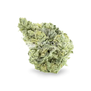 Photo of Sunset Sherbet Feminized Seeds