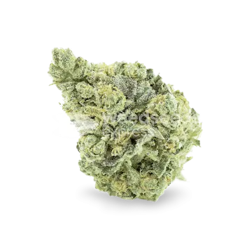 Photo of Sunset Sherbet Feminized Seeds