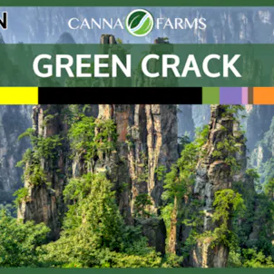 Photo of Green Crack