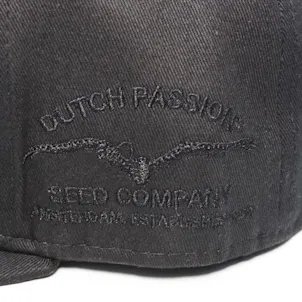 Photo of Masters at Work Cap