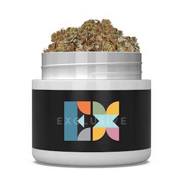 Product image for Lava Cake-Exclusive