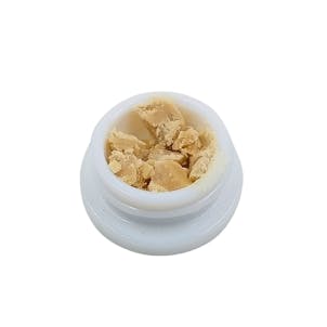 Photo of Orange Terror