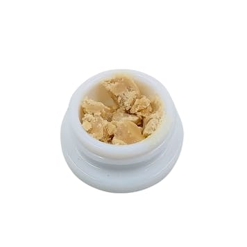 Photo of Orange Terror