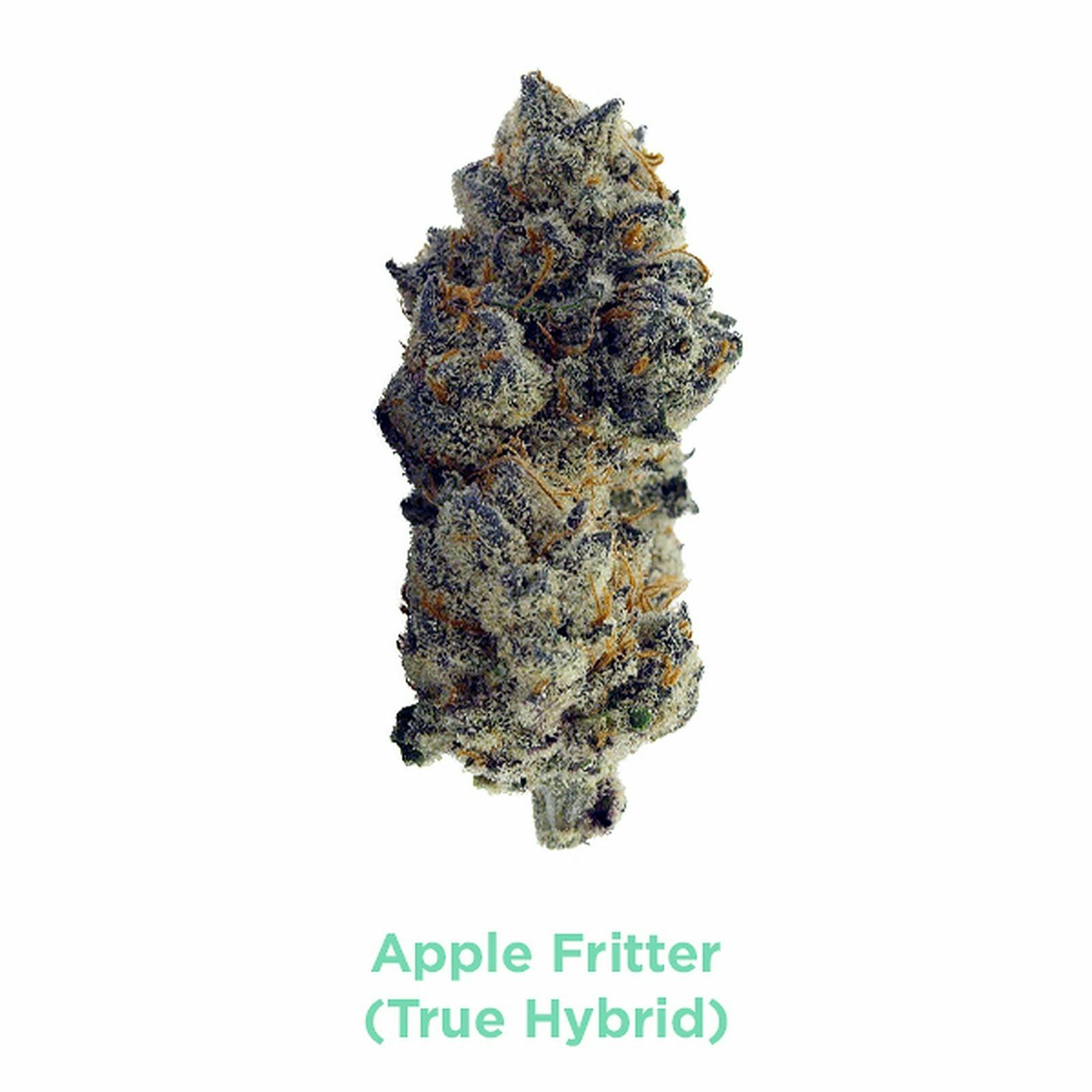 Marijuana Clones Online Apple Fritter Seeds Leafly