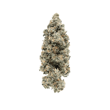 Photo of Gas Series 28g