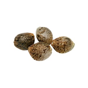 Photo of Cherry Head Seeds