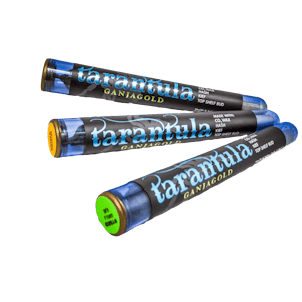 Photo of Blue Tarantula