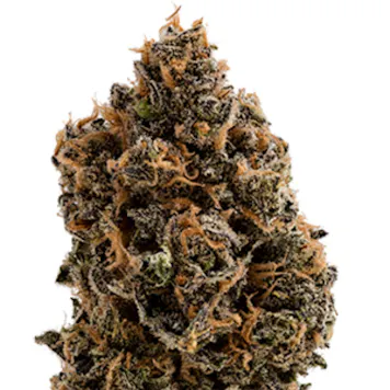 Photo of Super Silver Blue Magoo