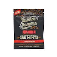 Product image for Cinnamon Full Spectrum 10 mg CBD Mints