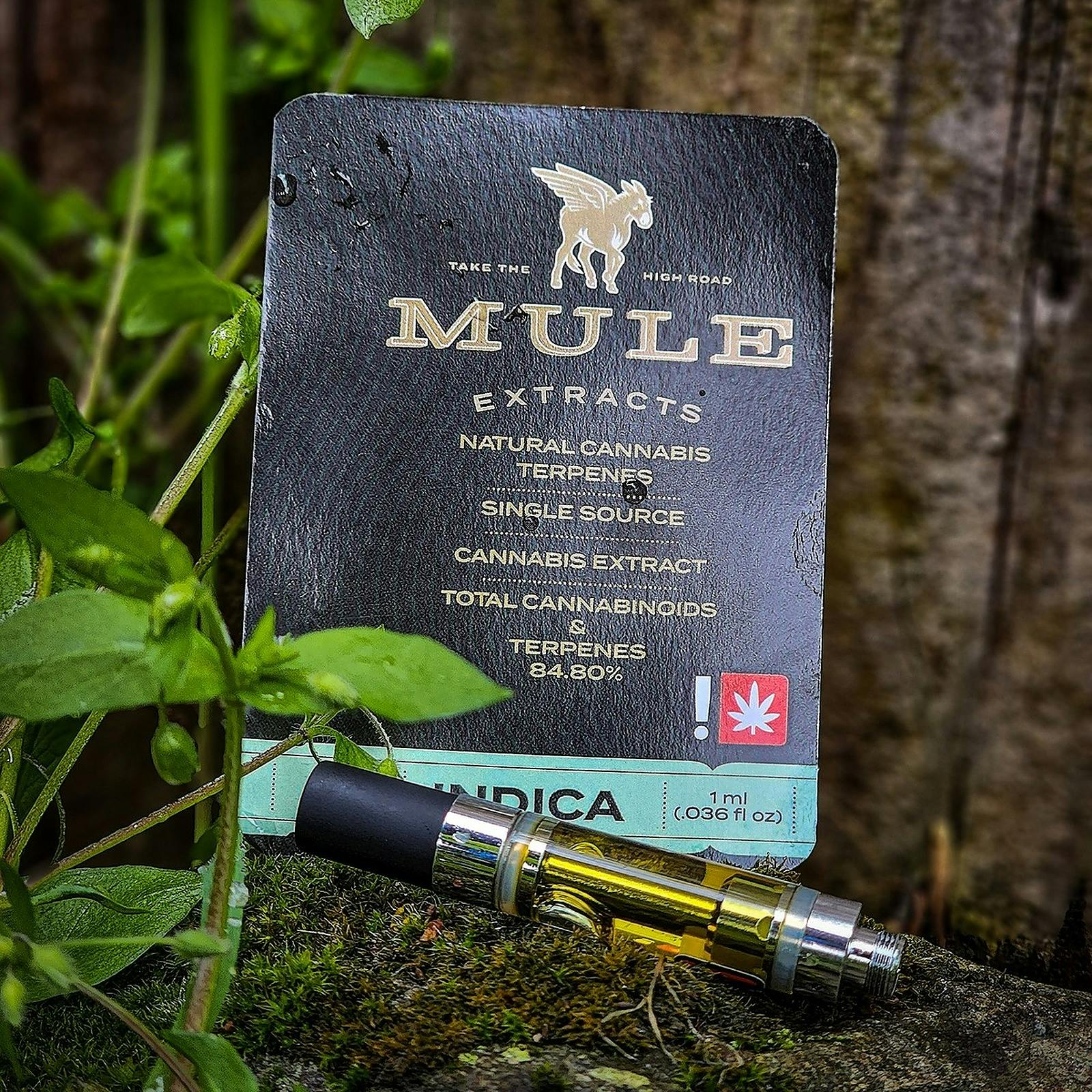 Mule Extracts 1g Cart Live Resin Silver Hawk Indica 80.8 Leafly