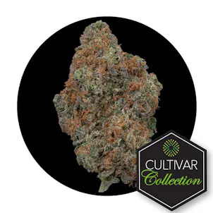 Photo of Cultivar Collection Flower 3.5G - Tar Pit